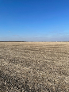 High Quality Missouri River Bottom Land Near Forest City, MO - image 13