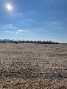 High Quality Missouri River Bottom Land Near Forest City, MO - image 16