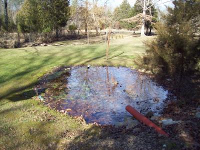 Country Home with an Artesian Well - image 25