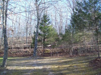 Country Home with an Artesian Well - image 26