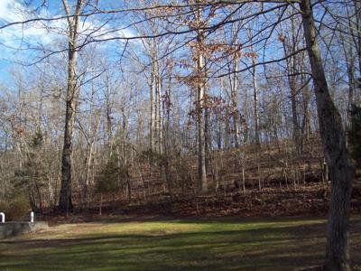 Country Home with an Artesian Well - image 27