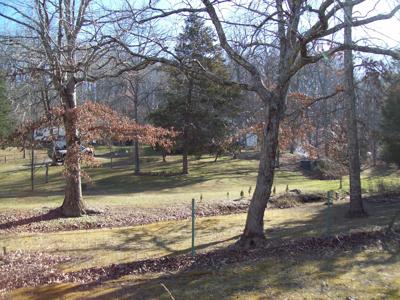 Country Home with an Artesian Well - image 21