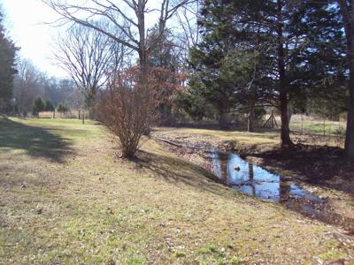 Country Home with an Artesian Well - image 22