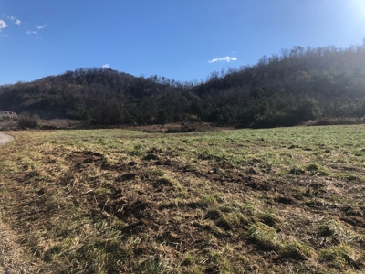 3.14 Acres Unrestricted Land in East TN For Sale - image 6