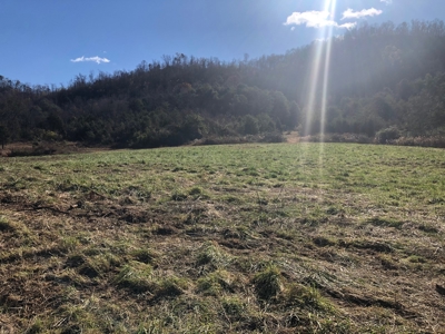 3.14 Acres Unrestricted Land in East TN For Sale - image 4