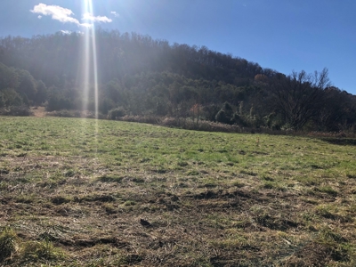 3.14 Acres Unrestricted Land in East TN For Sale - image 3