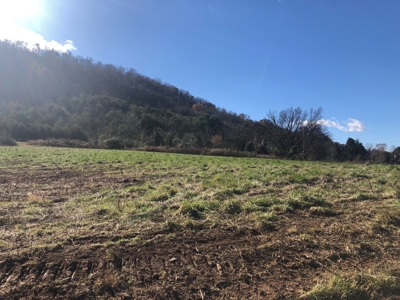3.14 Acres Unrestricted Land in East TN For Sale - image 12