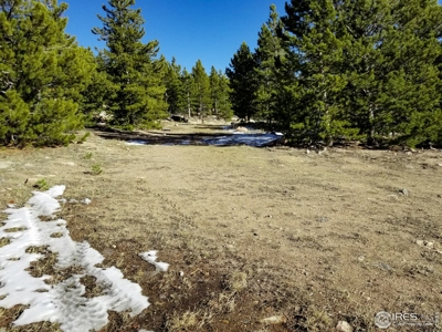 13+ Acres That Borders National Forest - image 8