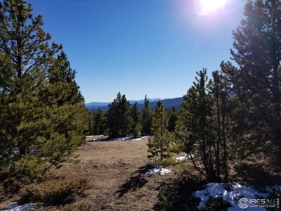 13+ Acres That Borders National Forest - image 1