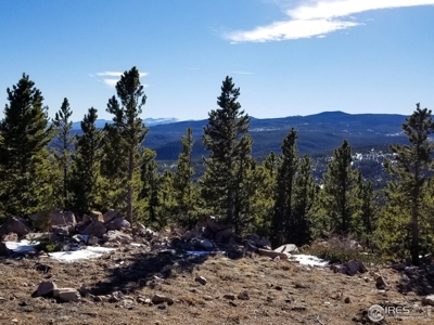 13+ Acres That Borders National Forest - image 10