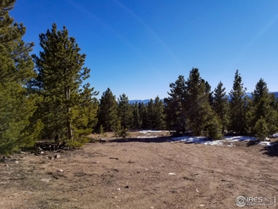 13+ Acres That Borders National Forest - image 3