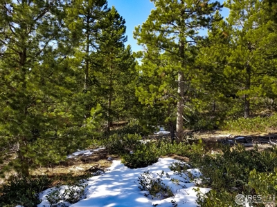 13+ Acres That Borders National Forest - image 6