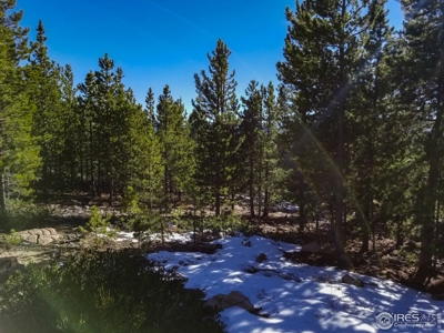 13+ Acres That Borders National Forest - image 7
