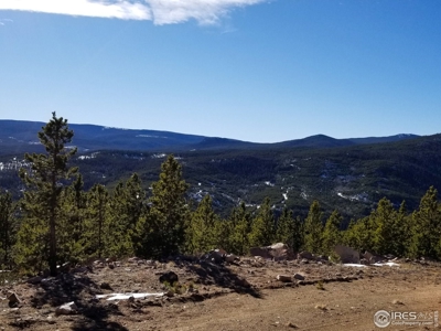 13+ Acres That Borders National Forest - image 9