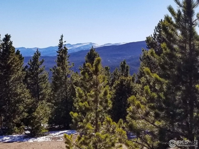 13+ Acres That Borders National Forest - image 4