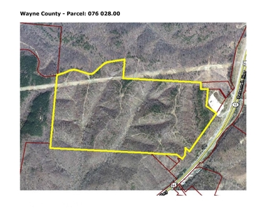 SALE PENDING! Tennessee Woods Spring Deer Turkey Hunt Land - image 9