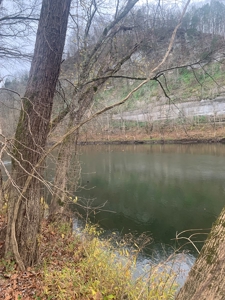 Accepted Offer - Monkey Bluff Rd, Burkesville, Kentucky - image 14