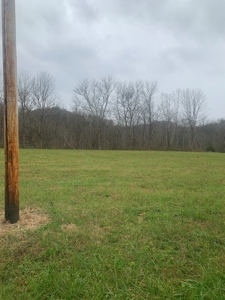 Accepted Offer - Monkey Bluff Rd, Burkesville, Kentucky - image 5