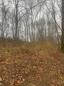 Accepted Offer - Monkey Bluff Rd, Burkesville, Kentucky - image 15