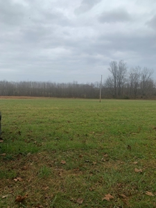 Accepted Offer - Monkey Bluff Rd, Burkesville, Kentucky - image 6