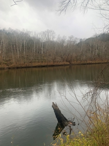 Accepted Offer - Monkey Bluff Rd, Burkesville, Kentucky - image 13