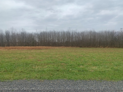 Accepted Offer - Monkey Bluff Rd, Burkesville, Kentucky - image 3