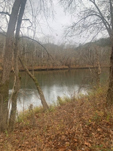 Accepted Offer - Monkey Bluff Rd, Burkesville, Kentucky - image 12