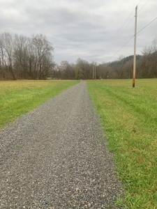 Accepted Offer - Monkey Bluff Rd, Burkesville, Kentucky - image 4