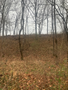 Accepted Offer - Monkey Bluff Rd, Burkesville, Kentucky - image 16