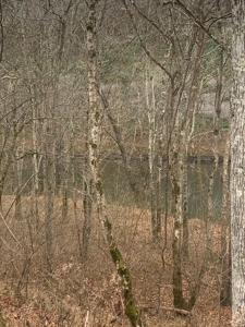 Accepted Offer - Monkey Bluff Rd, Burkesville, Kentucky - image 10