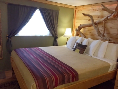 Cedaredge Lodge For Sale, Grand Mesa, Cedaredge, Colorado - image 1