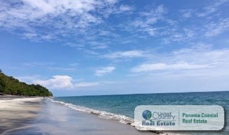 Istmo’S Bungalows For Rent In Playa Grande San Carlos - image 10