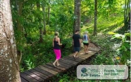 Istmo’S Bungalows For Rent In Playa Grande San Carlos - image 13