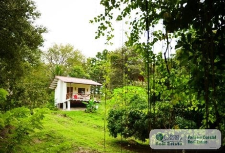 Istmo’S Bungalows For Rent In Playa Grande San Carlos - image 7