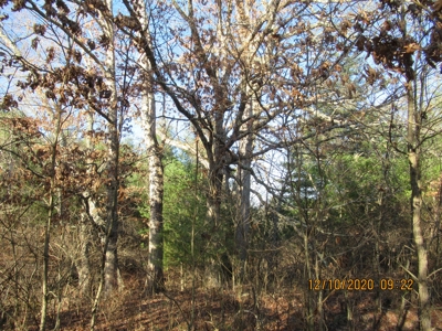 Land for Sale in Willis VA - image 2