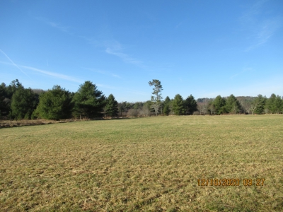 Land for Sale in Willis VA - image 5