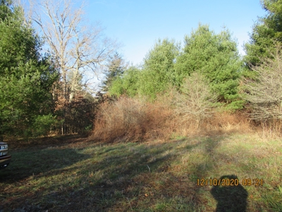 Land for Sale in Willis VA - image 1