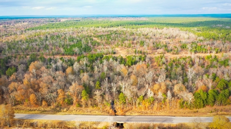 Recreational Hunting Property For Auction Antlers Oklahoma - image 6