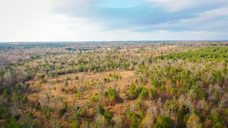 Recreational Hunting Property For Auction Antlers Oklahoma - image 8