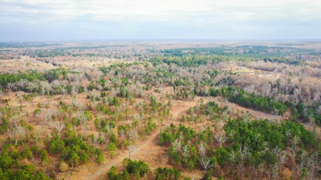 Recreational Hunting Property For Auction Antlers Oklahoma - image 13