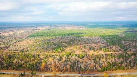 Recreational Hunting Property For Auction Antlers Oklahoma - image 4