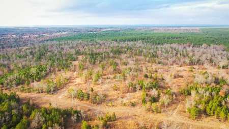 Recreational Hunting Property For Auction Antlers Oklahoma - image 15