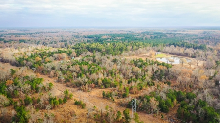 Recreational Hunting Property For Auction Antlers Oklahoma - image 14