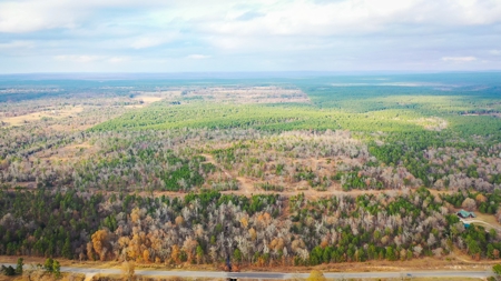 Recreational Hunting Property For Auction Antlers Oklahoma - image 2