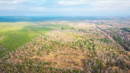 Recreational Hunting Property For Auction Antlers Oklahoma - image 10