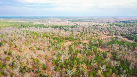 Recreational Hunting Property For Auction Antlers Oklahoma - image 12
