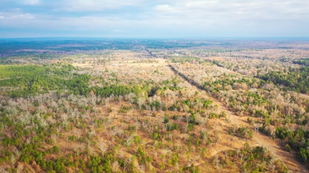 Recreational Hunting Property For Auction Antlers Oklahoma - image 9
