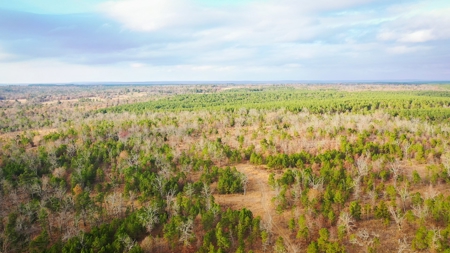 Recreational Hunting Property For Auction Antlers Oklahoma - image 7