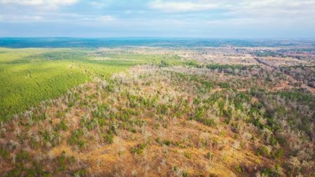 Recreational Hunting Property For Auction Antlers Oklahoma - image 11