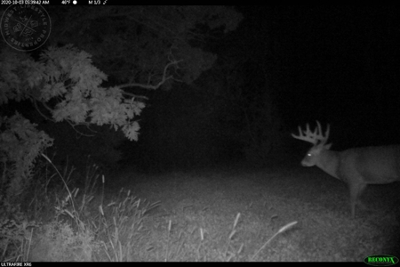 Whitetail Wonderland For Sale in Southwestern Wisconsin - image 42